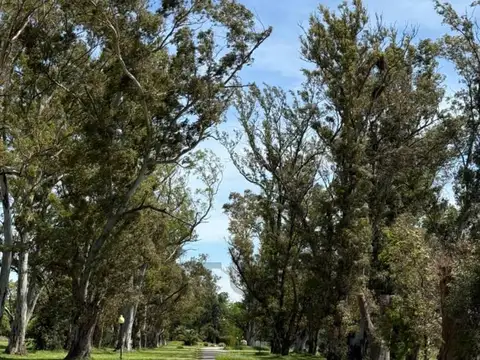 Terreno en Venta 35  mts Fondo
