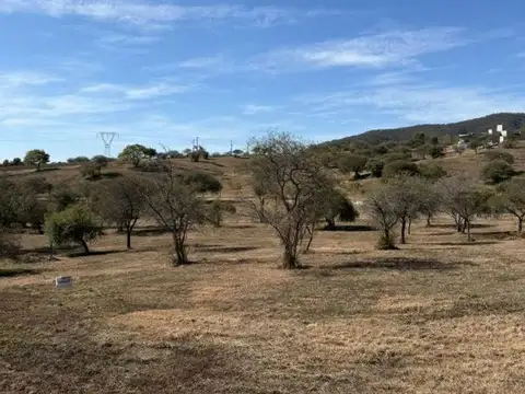 Las Cañadas 00