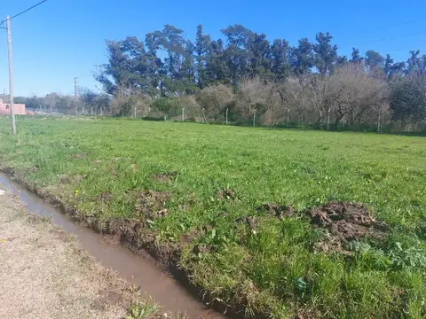 Calle 191