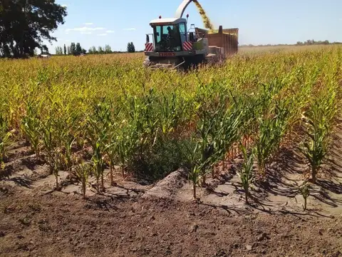 Venta de Campo, San Rafael.