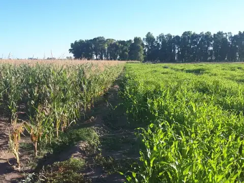 Candela S/N , Piso 0