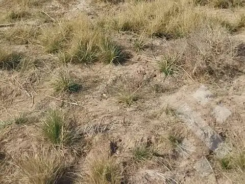 VENTA LOTE 306m2 ALLEN LOTEO LAS ESCULTURAS