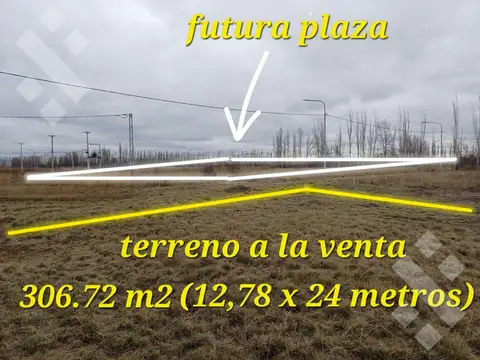 Terreno en Venta 24  mts Fondo