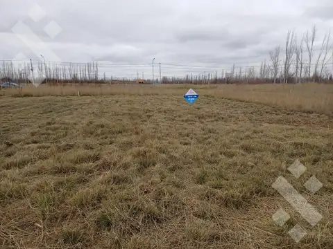VENTA LOTE 306m2 - LOTEO LAS ESCULTURAS, ALLEN