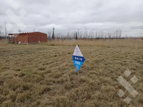 VENTA LOTE 306m2 ALLEN LOTEO LAS ESCULTURAS