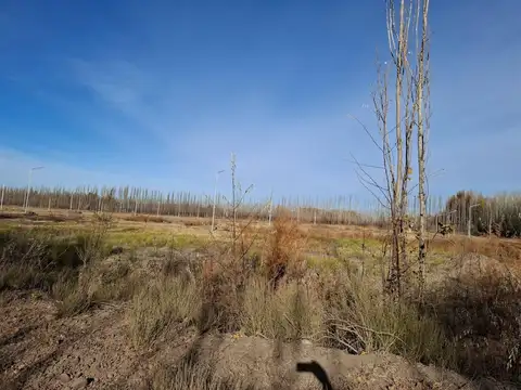 Terreno en Venta 10  mts Frente