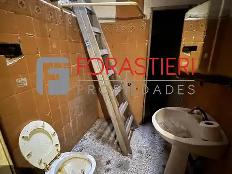 3 de febrero al 3000