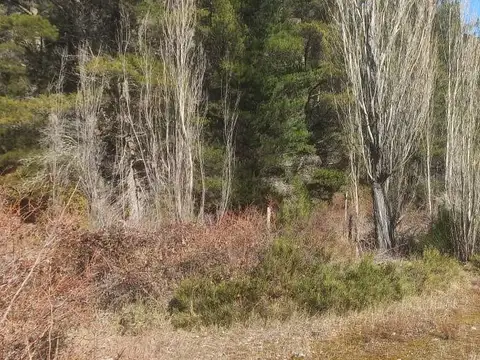 Chacra en El Bolsón - Excelente Propiedad para Destino Turístico