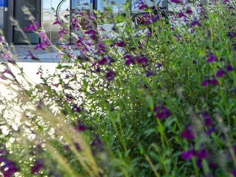 Se alquila oficinas comerciales en Venado Tuerto