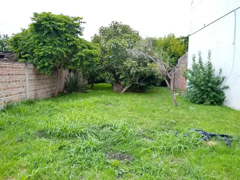 Lamberti al 800
