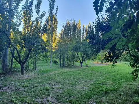 LOTE 10.643 m² EN VENTA | PLOTTIER