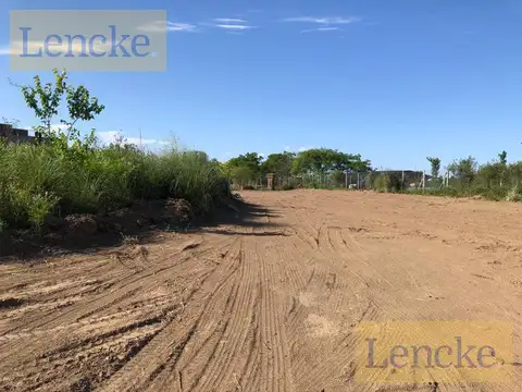 Terreno en Alquiler en Rincón de Milberg, USD 10.000