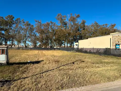 Terreno en Venta en El Sauce, Guaymallén