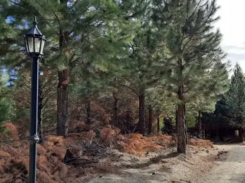 Terreno en Venta en Villa Pehuenia, USD 25.000