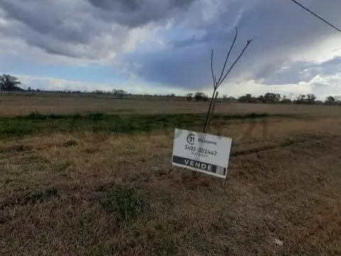 Loteo los teros 100, Piso 0