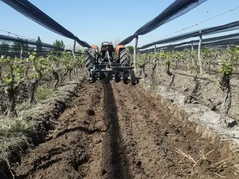 NICOLÁS QUIROGA S/N 100