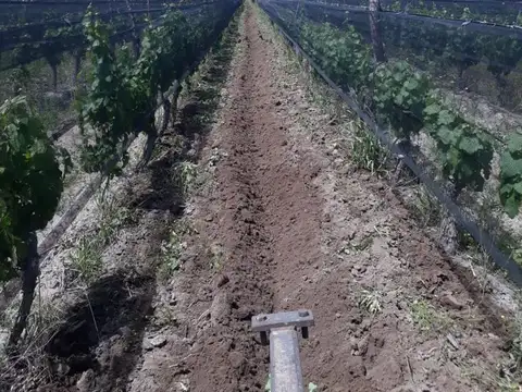 NICOLÁS QUIROGA S/N 100