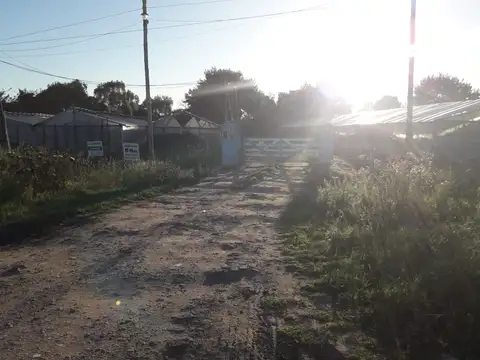 Campo en Venta Agricola