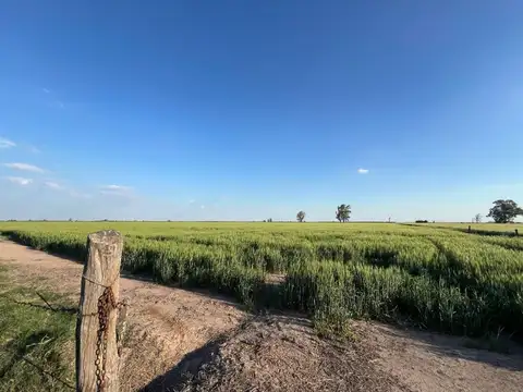 VENTA CAMPO AGRICOLA PDTE ROCA DPTO CASTELLANOS