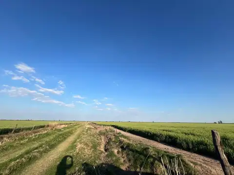VENTA CAMPO AGRICOLA PDTE ROCA DPTO CASTELLANOS