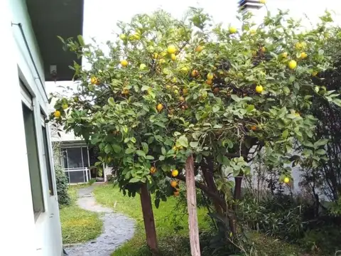 Terreno en Venta 58  mts Fondo