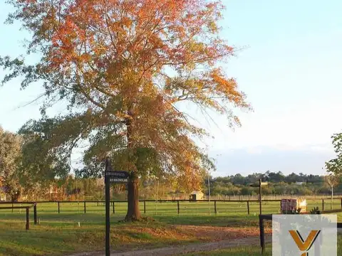 Terreno en venta - 1.000Mts2 - Escobar