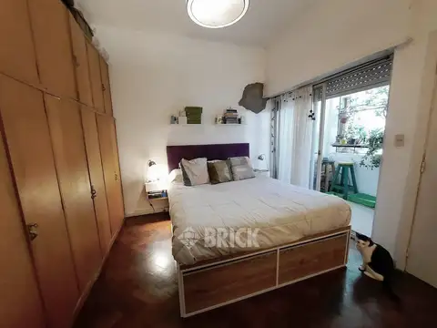 Zapata 100