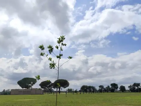 Barrio Las Rosas