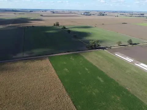 Campo agricola 