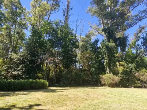 LOTE  EN VENTA - ROBLES DEL MONARCA 