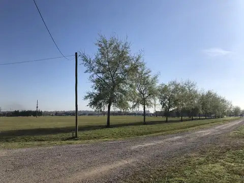 Fincas de San Vicente Sporting