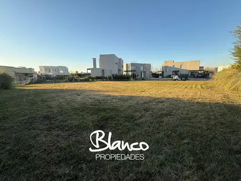 Haras Santa María - El Molino 700