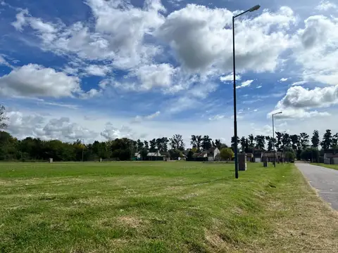 LOTEO BARRIO URBANO LOS FRESNOS