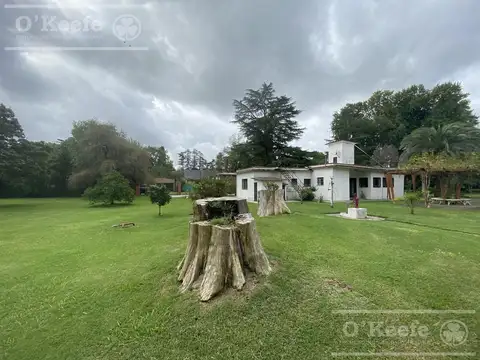 CASA QUINTA EN VENTA EN EL PATO SOBRE LOTE DE 6640 M2 NO ALQUILER