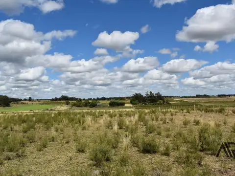 Venta Campo en Migues 5,5 Ha, con tajamar cercano ruta 80 100