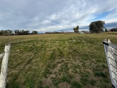 VENTA HECTAREA-BARRIO LA MORA-CON LUZ-MERCEDES(B)