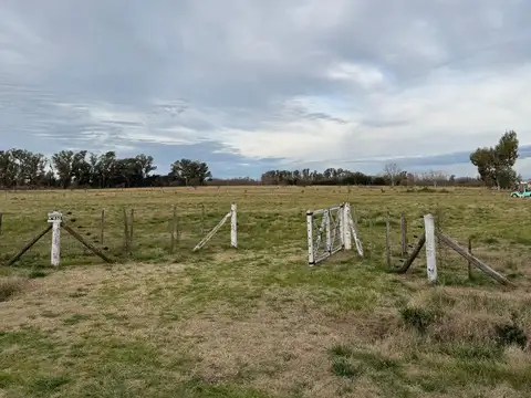 Terreno en Venta de 10055,0 m2