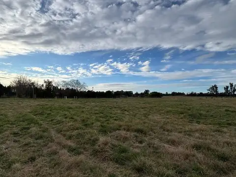 Terreno en Venta de 10055,0 m2