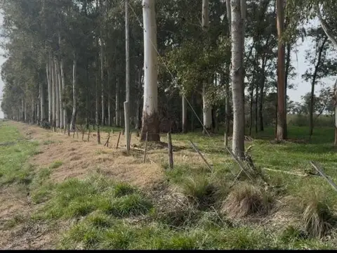 Ruta Nacional 5 100