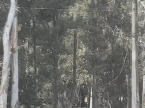 Ruta Nacional 5 100