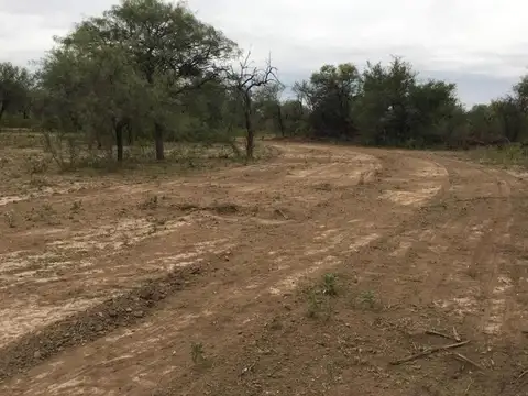 Campo 180 ha Ganadero en Venta Villa de Soto
