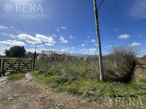 Venta Campo 10 Hectáreas en  El Pato- Ideal Inversor