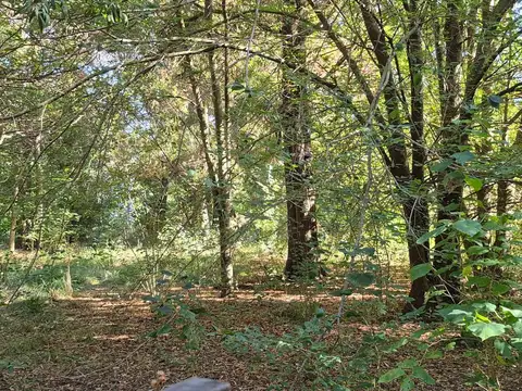 Avda Laguna Del Burro