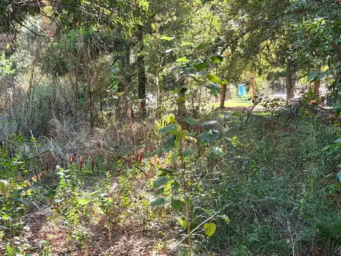 Avda Laguna Del Burro