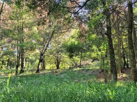 Terreno en Venta en Chascomus, USD 30.000