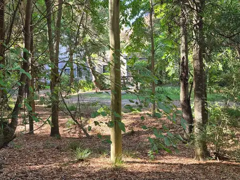 Terreno en Venta en Chascomus, USD 30.000