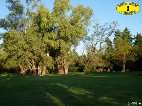 Chacra venta en Torres
