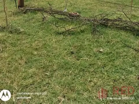 Terreno en Venta en Plottier, USD 10.000