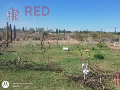 Vende Terreno en Barrio  Amedea - Plottier