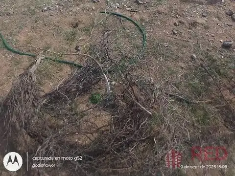 Terreno en Venta en Plottier, USD 10.000